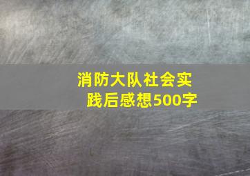 消防大队社会实践后感想500字