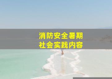 消防安全暑期社会实践内容