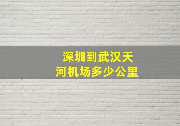 深圳到武汉天河机场多少公里