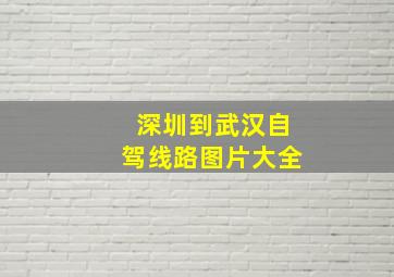 深圳到武汉自驾线路图片大全