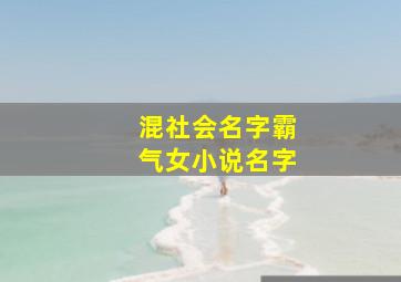 混社会名字霸气女小说名字