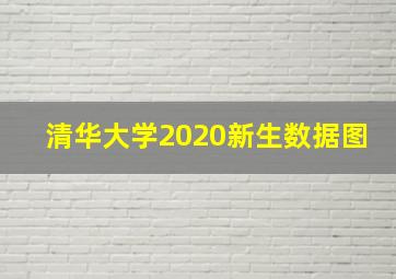 清华大学2020新生数据图