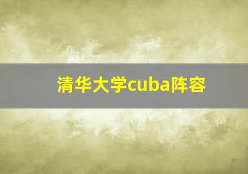 清华大学cuba阵容