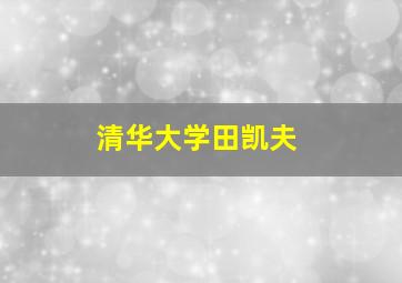 清华大学田凯夫