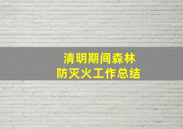 清明期间森林防灭火工作总结