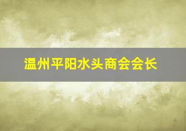 温州平阳水头商会会长