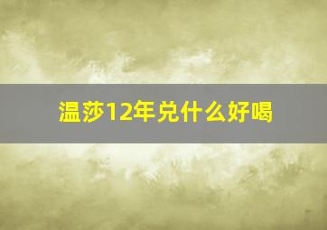 温莎12年兑什么好喝