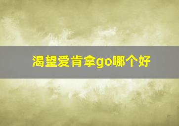 渴望爱肯拿go哪个好