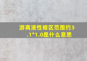 游离液性暗区范围约3.1*1.0是什么意思