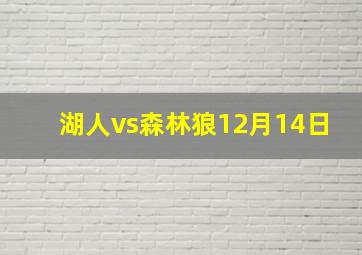 湖人vs森林狼12月14日