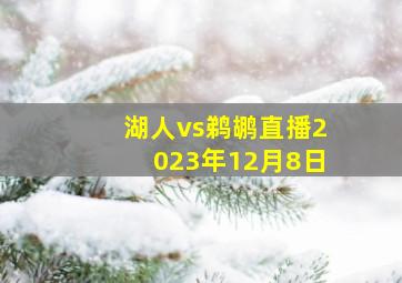 湖人vs鹈鹕直播2023年12月8日