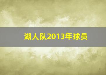 湖人队2013年球员