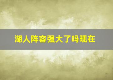 湖人阵容强大了吗现在