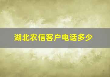 湖北农信客户电话多少