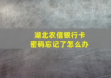 湖北农信银行卡密码忘记了怎么办