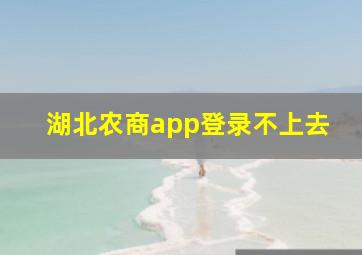 湖北农商app登录不上去