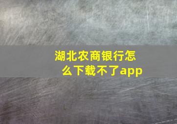 湖北农商银行怎么下载不了app