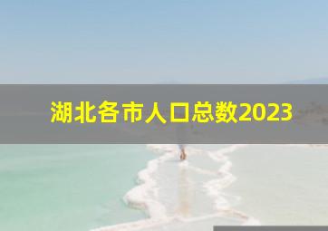 湖北各市人口总数2023