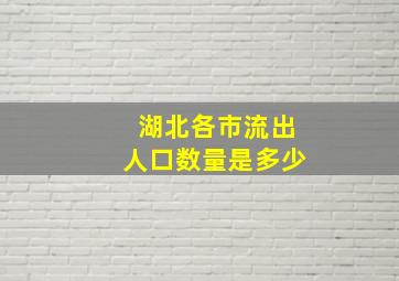 湖北各市流出人口数量是多少