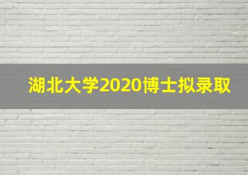 湖北大学2020博士拟录取