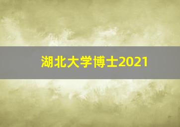 湖北大学博士2021