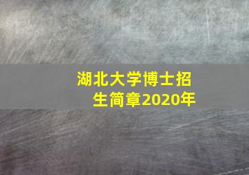 湖北大学博士招生简章2020年