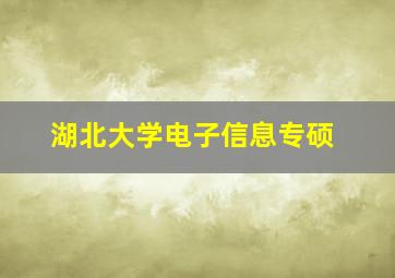 湖北大学电子信息专硕