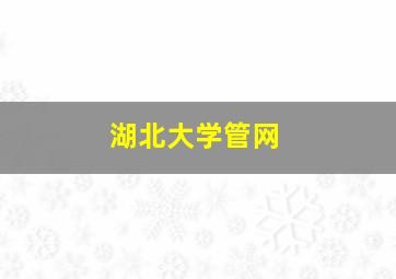 湖北大学管网