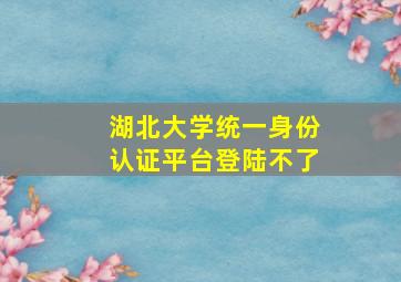 湖北大学统一身份认证平台登陆不了