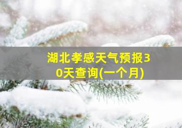 湖北孝感天气预报30天查询(一个月)