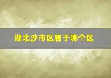 湖北沙市区属于哪个区