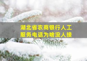 湖北省农商银行人工服务电话为啥没人接