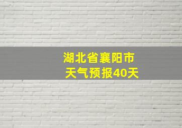 湖北省襄阳市天气预报40天