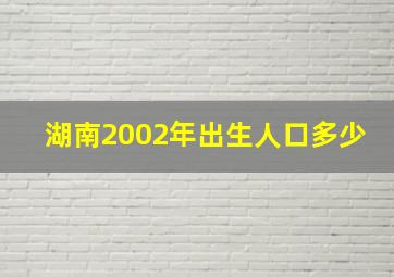 湖南2002年出生人口多少