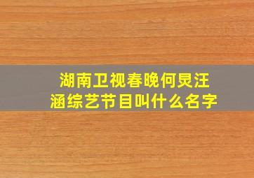 湖南卫视春晚何炅汪涵综艺节目叫什么名字