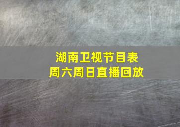 湖南卫视节目表周六周日直播回放