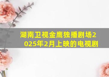 湖南卫视金鹰独播剧场2025年2月上映的电视剧