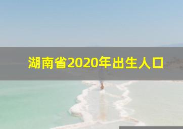 湖南省2020年出生人口