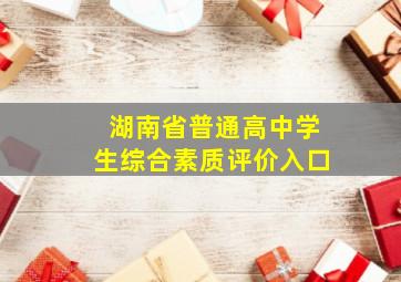 湖南省普通高中学生综合素质评价入口