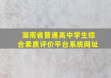 湖南省普通高中学生综合素质评价平台系统网址