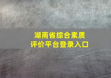 湖南省综合素质评价平台登录入口