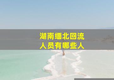 湖南缅北回流人员有哪些人