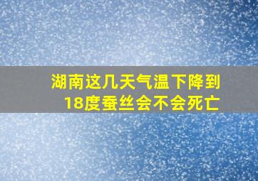 湖南这几天气温下降到18度蚕丝会不会死亡