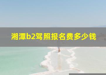 湘潭b2驾照报名费多少钱