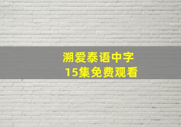 溯爱泰语中字15集免费观看