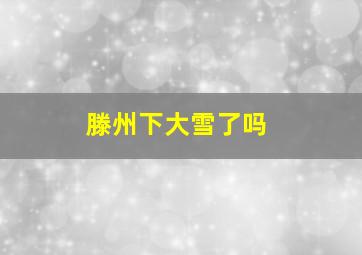 滕州下大雪了吗