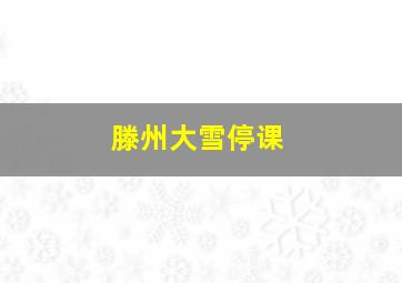 滕州大雪停课