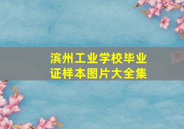 滨州工业学校毕业证样本图片大全集