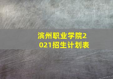 滨州职业学院2021招生计划表