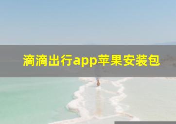 滴滴出行app苹果安装包